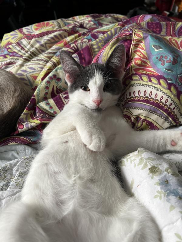 He loves it also