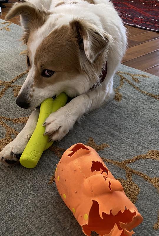 HYPER PET Hyper Chewz Dog Chew Toy, Stick