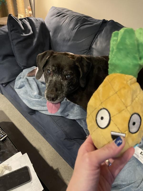 BARK Penny the Pineapple Rip & Reveal Squeaky Plush Dog Toy, Brown ...