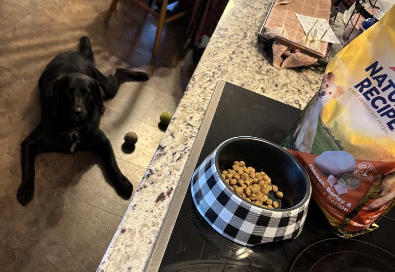 My dog absolutely loves Nature’s Recipe.