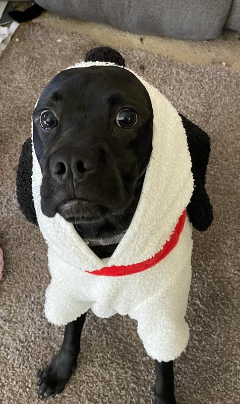 PEANUTS Snoopy Classic Face Hoodie Dog Costume, Large