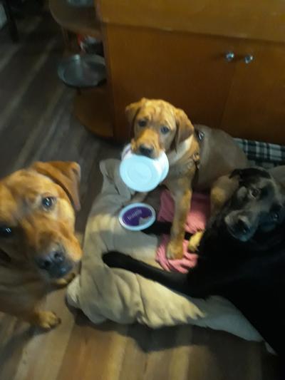 "Spoiled Babies!!!"