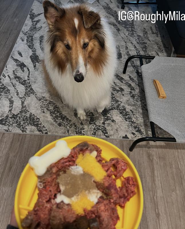 Mila approved 😋💪