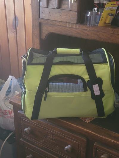 Paws and pals large pet carrier sales