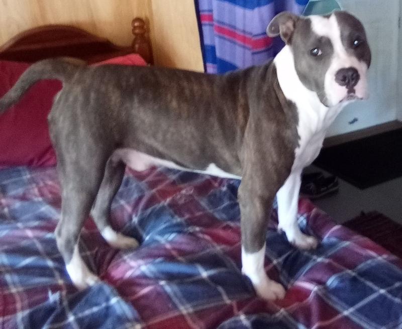 Looking good with Purina One!