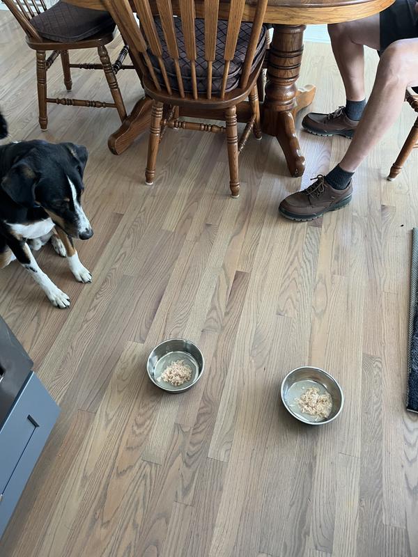 They wait for the okay to start