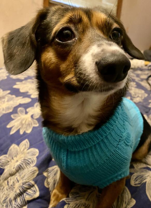 It’s Willow approved for sensitive skin!