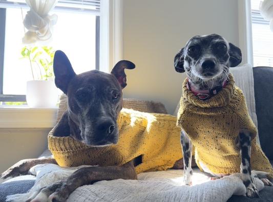 Don't we look fetching in our matching sweaters?