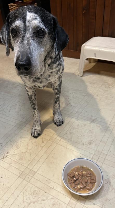 Thank you Chicken Soup for the Soul!!