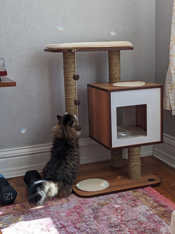 Out of Stock - VESPER Base 32-in Modern Cat Tree & Condo, Walnut ...