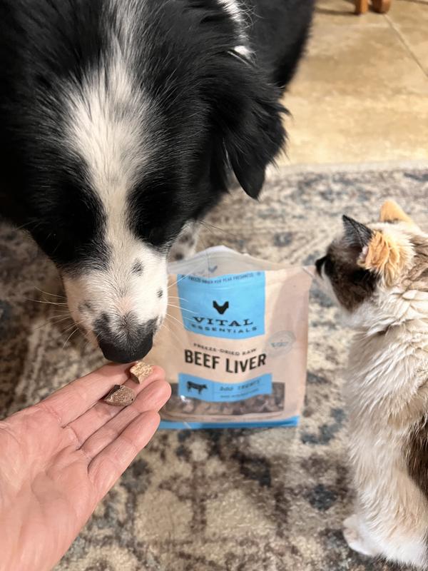 Great for dogs and cats too