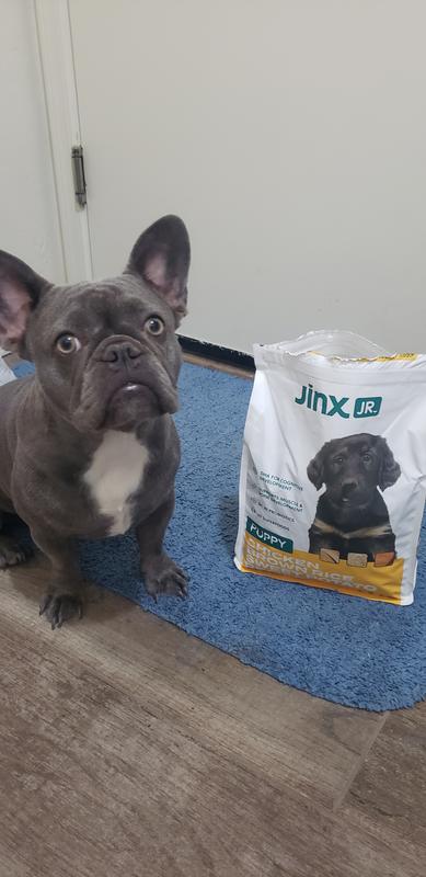 Waiting patiently to try Jinx