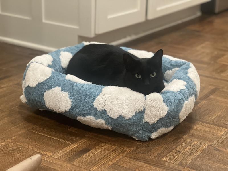 Must be cozy! He didn’t wait 2 minutes to try it!