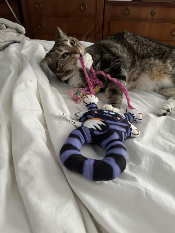 Fat Cat Scratchy Mat Doorknob Hanger Cat Toy