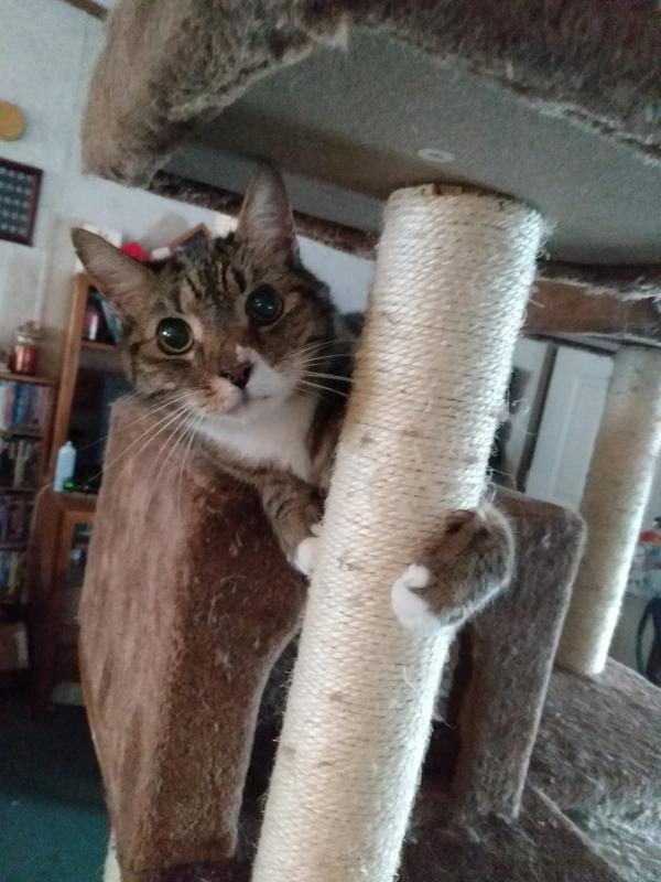 After this, no more pictures today!