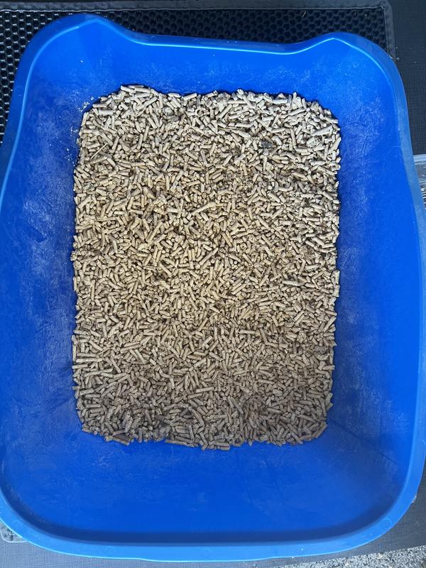 OKOCAT Mini Pellets Unscented Clumping Wood Cat Litter, 27.5lb bag