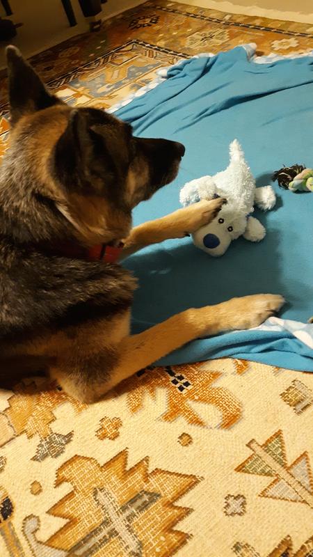 Lovey and Jetta
