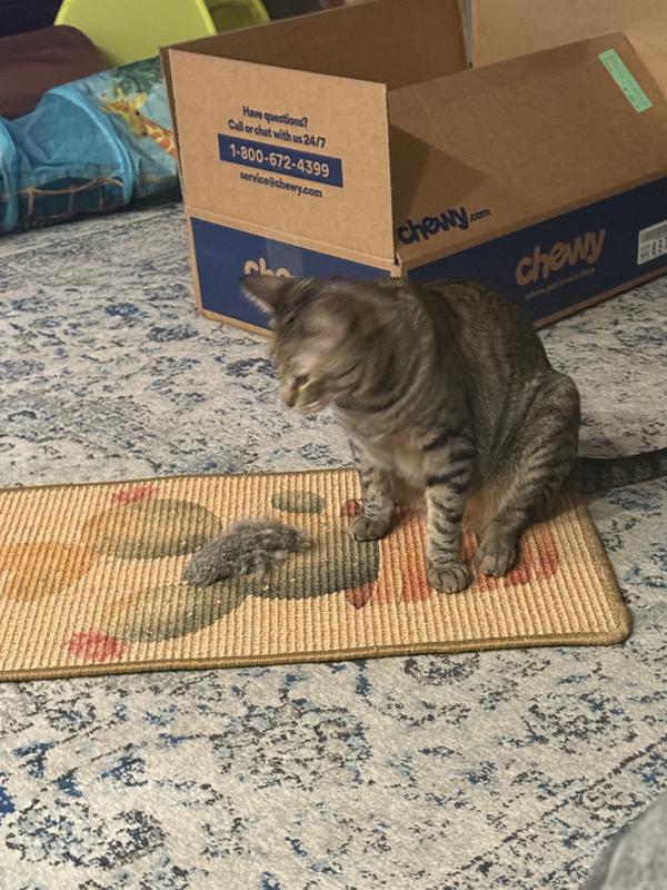 Enjoying the texture and grit!