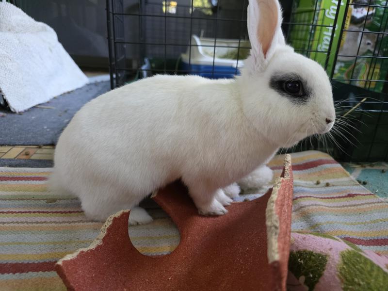 Paul taking a break.