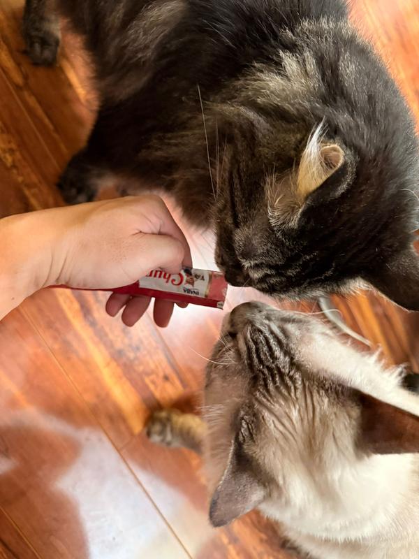 Lick lick lick - from two sides!