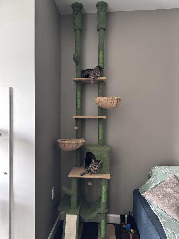 Two kittens loving their new tree!