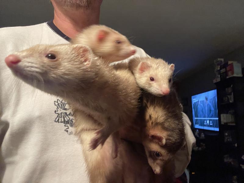 They are full and content after their Oxbow!!!!