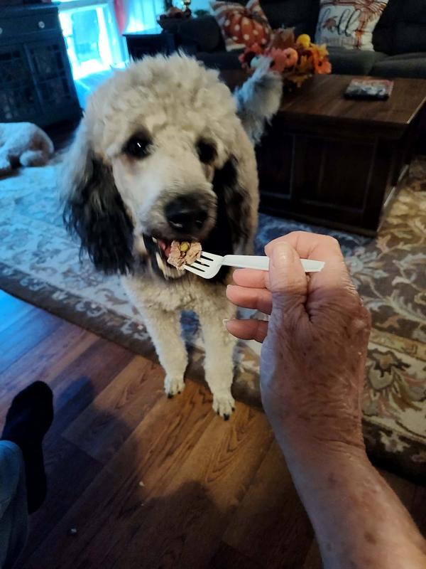 she really LOVED IT ( this was the ONLY way i could get her to eat... but it worked ) )