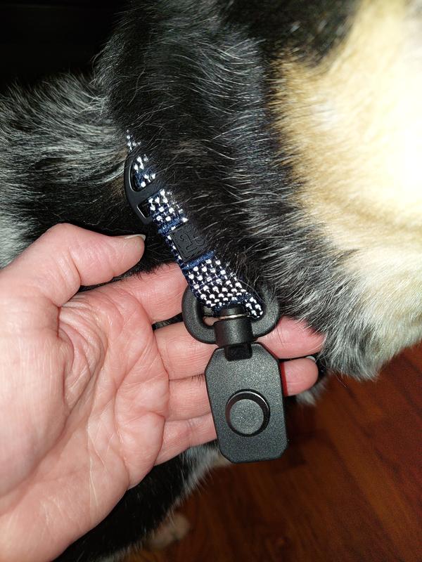 Quick Clip for Leash