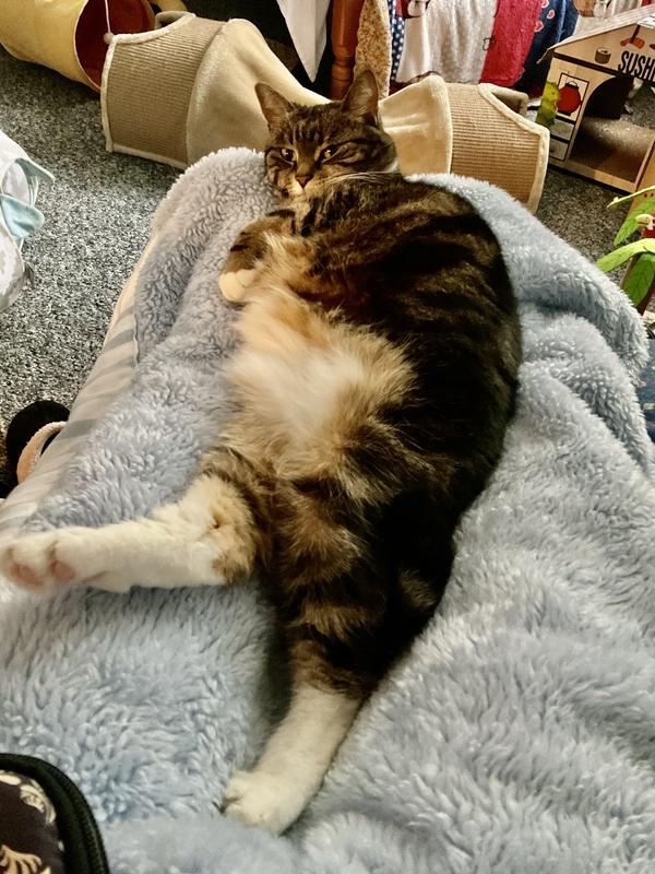 Comfortable