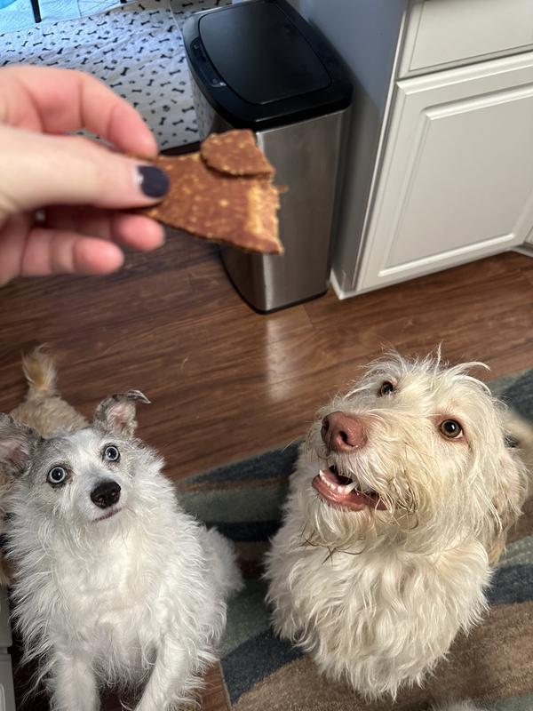 BONES & CHEWS All Natural GrainFree Jerky Made with Real Chicken Dog