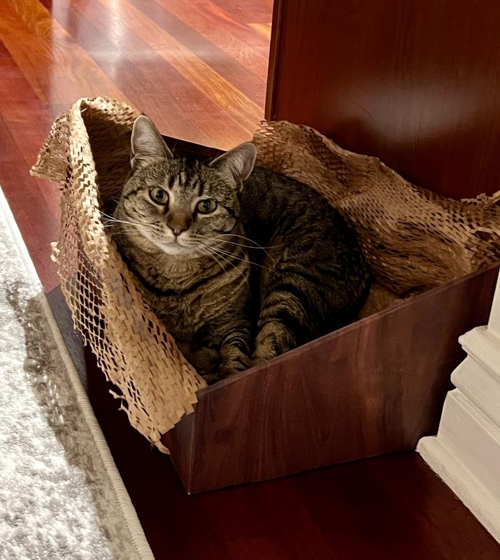 She's a little over 10lbs and it's spacious for her.