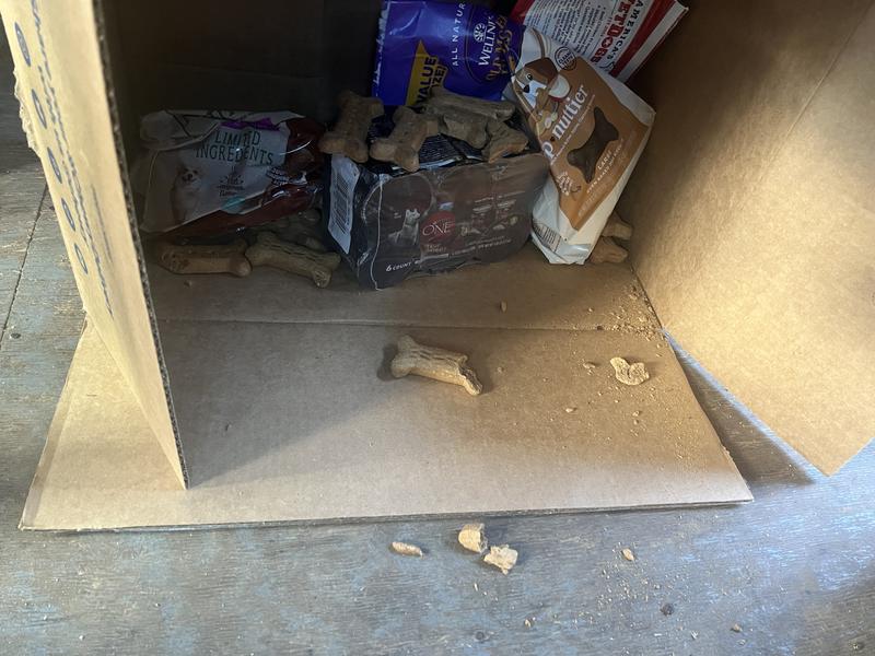 When life gives you lemons make lemonade