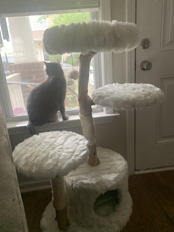 Too small for 2 cats