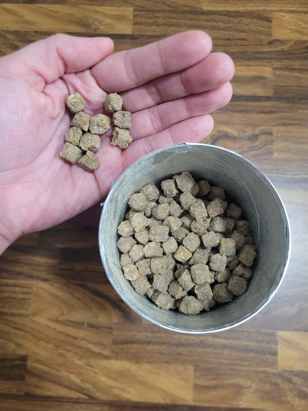 They are a consistent, small size that works great for give out as a treat.