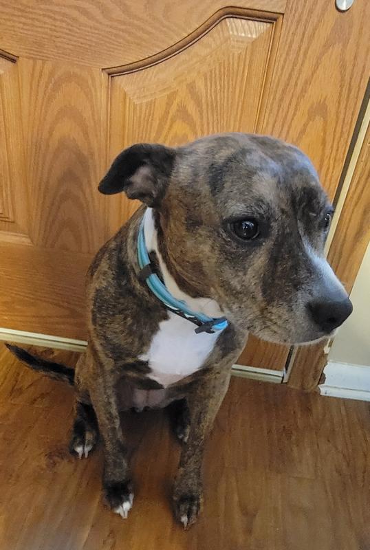 Perfect fit (adjustable)