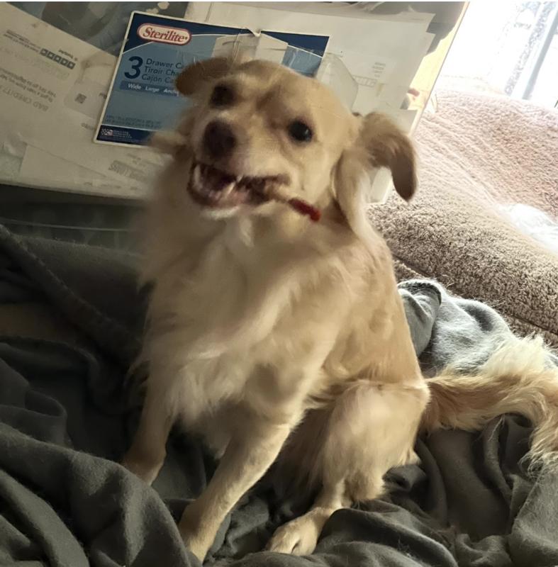 Enjoying afternoon snack!! 😋