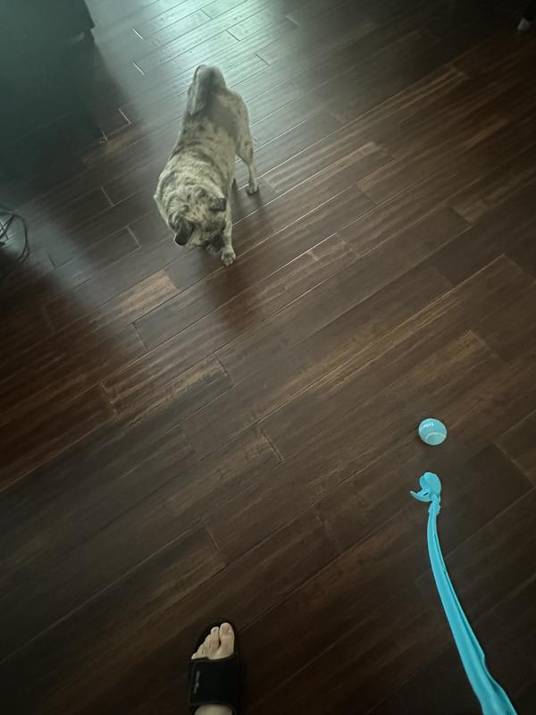 Rainy day fun inside