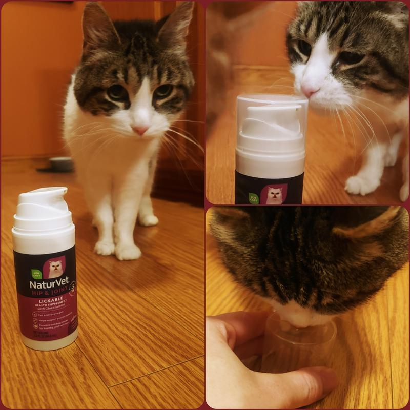 Pickles tried it the second time didn't care