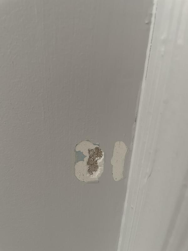 Where it was positioned on our wall, and popped off when our dog pushed through.