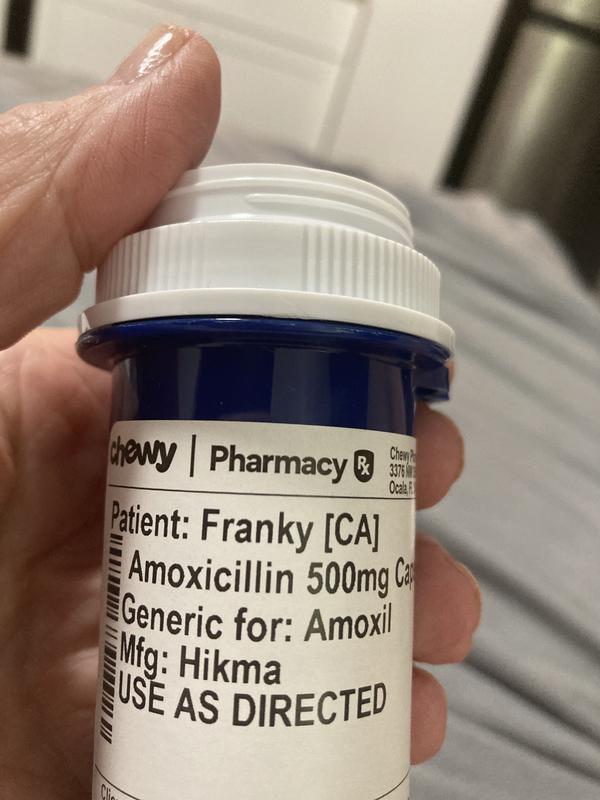 Amoxicillin (Generic) Capsules for Dogs & Cats