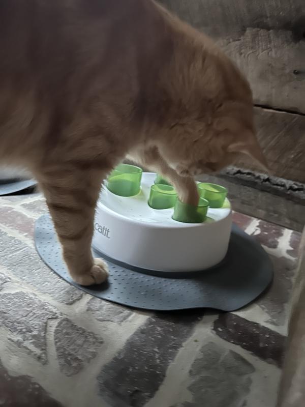 CATIT Senses 2.0 Cat Digger Slow Feeder