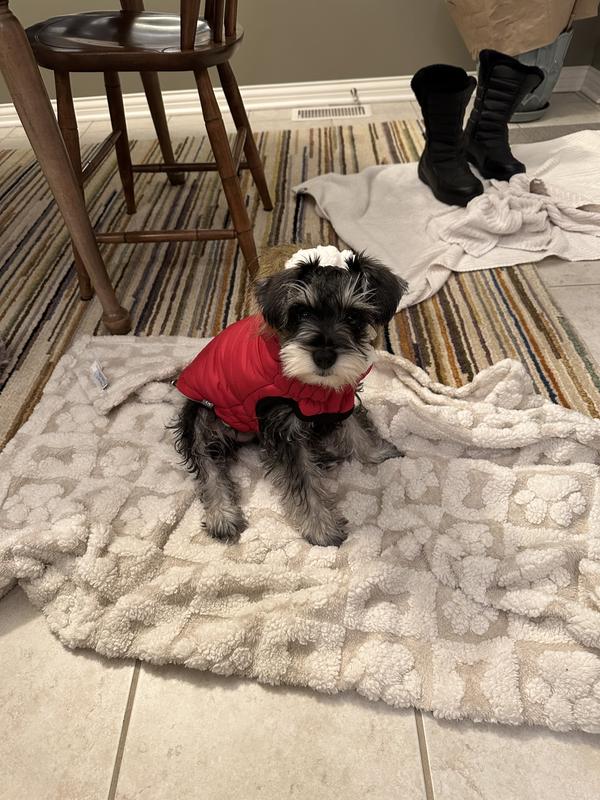 The Perfect Winter Coat