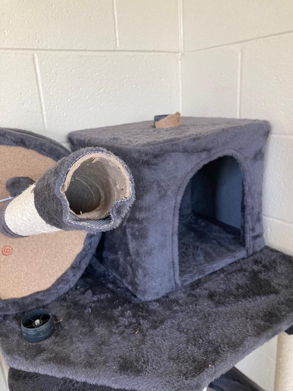 Just cardboard & staples