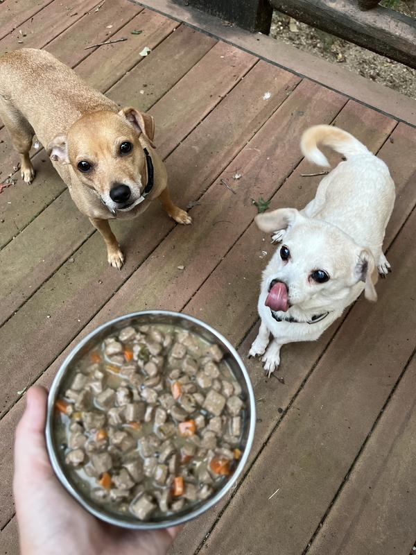 Jack (3) and Grace (15)