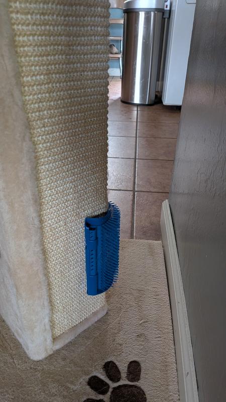 Not fooling anyone she says she doesn't like it but there is fur in the brush.