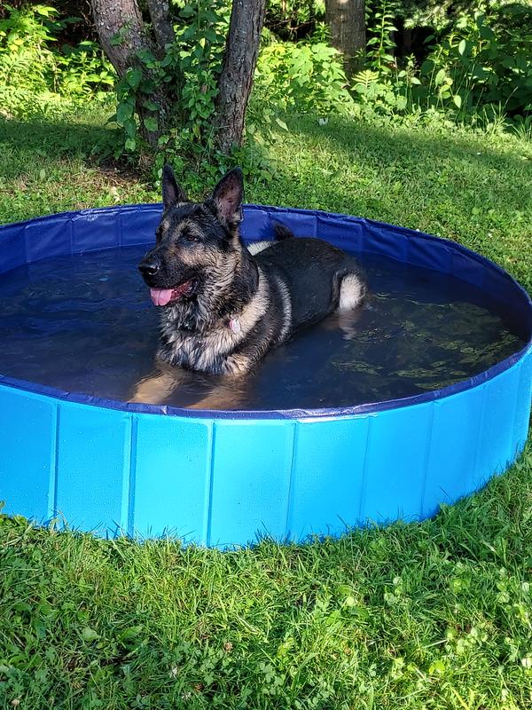 Dog Splash Pad For Large Dogs Heavy Duty Dog Pool For Large Dogs