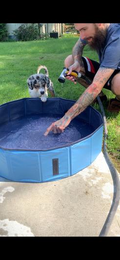 Pettom store swimming tub