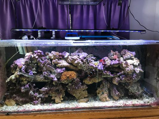 Orbit marine hot sale led light