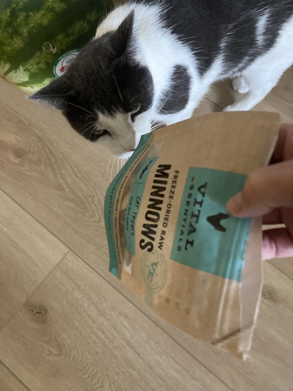 Vital Essentials Salmon Bites Freeze-Dried Raw Cat Treats