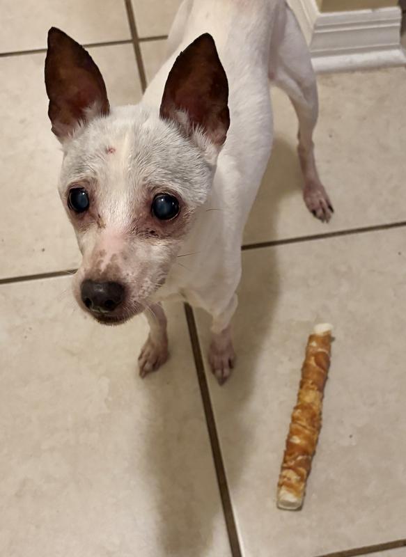 Ugh, is there anything else in there?